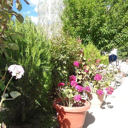 Yourdum Guest House Hundar Екстериор снимка